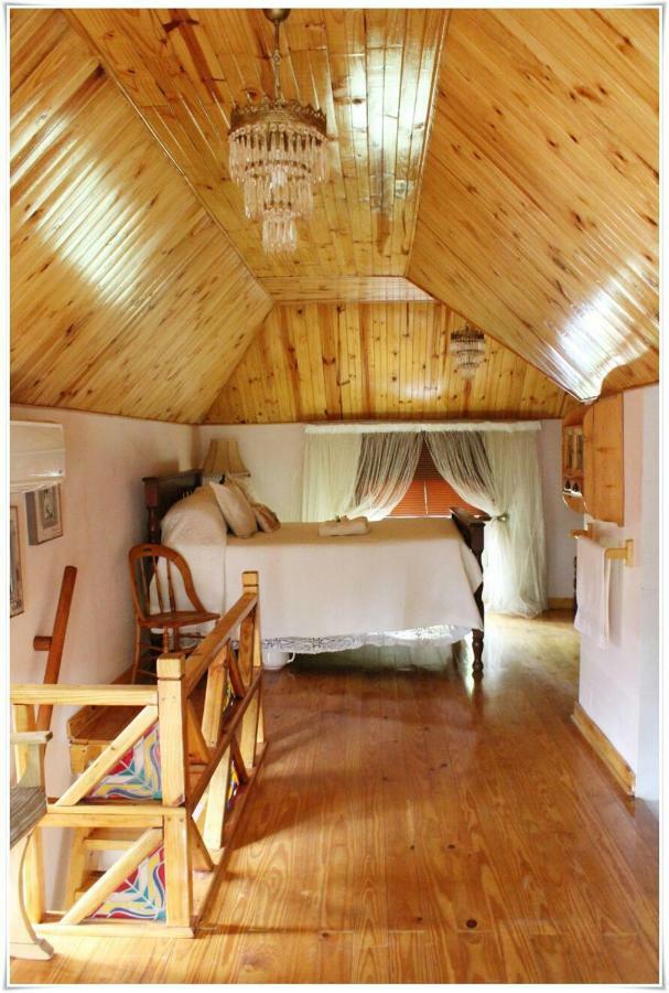 Tortelduif Cottage Offthegrid Middelburg  エクステリア 写真