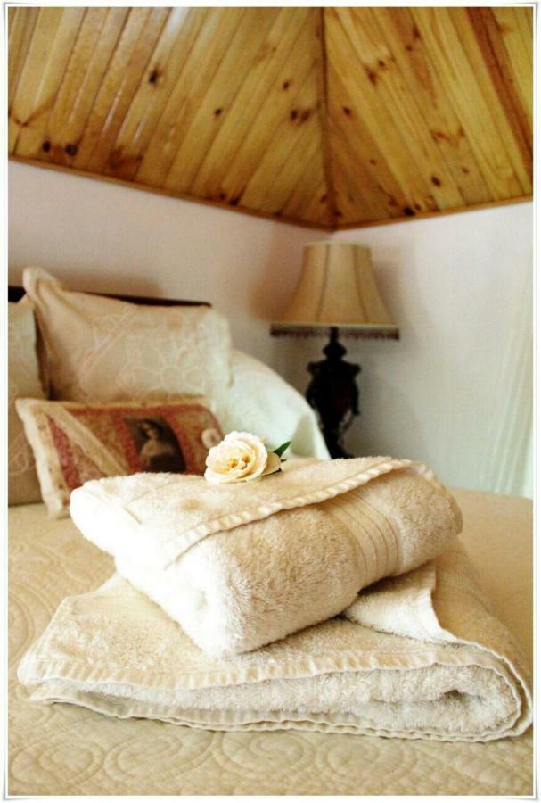 Tortelduif Cottage Offthegrid Middelburg  エクステリア 写真