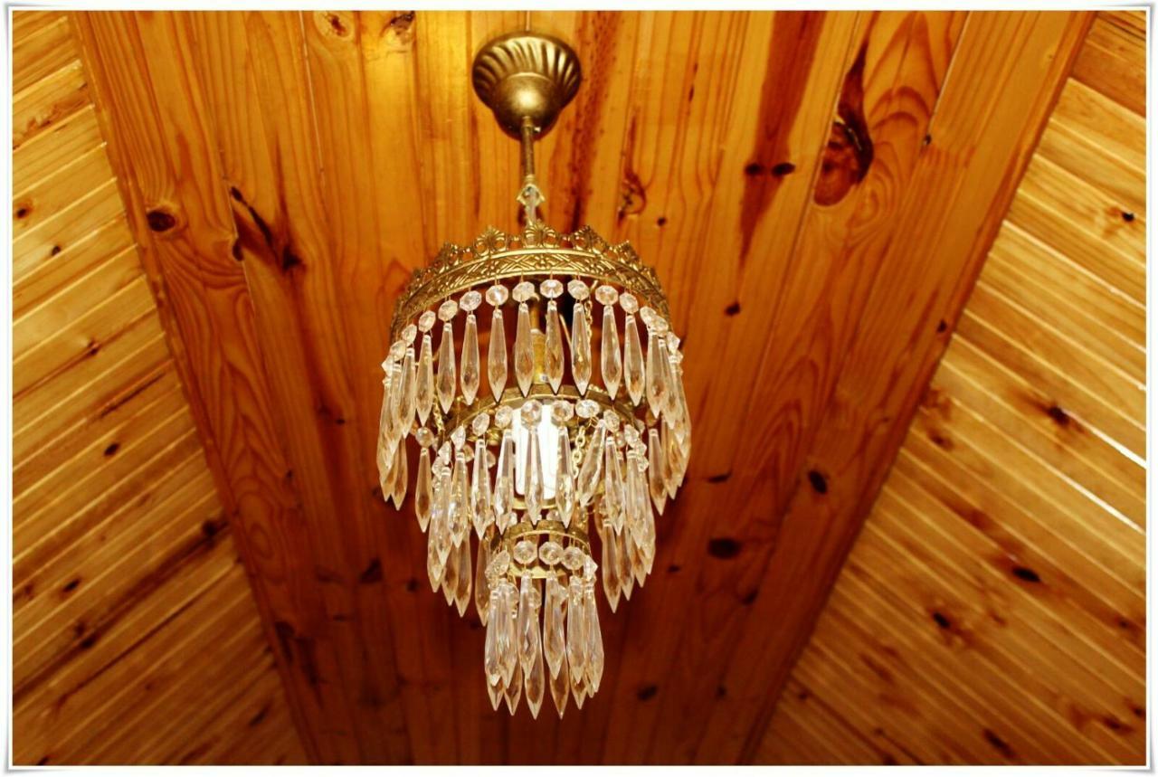 Tortelduif Cottage Offthegrid Middelburg  エクステリア 写真