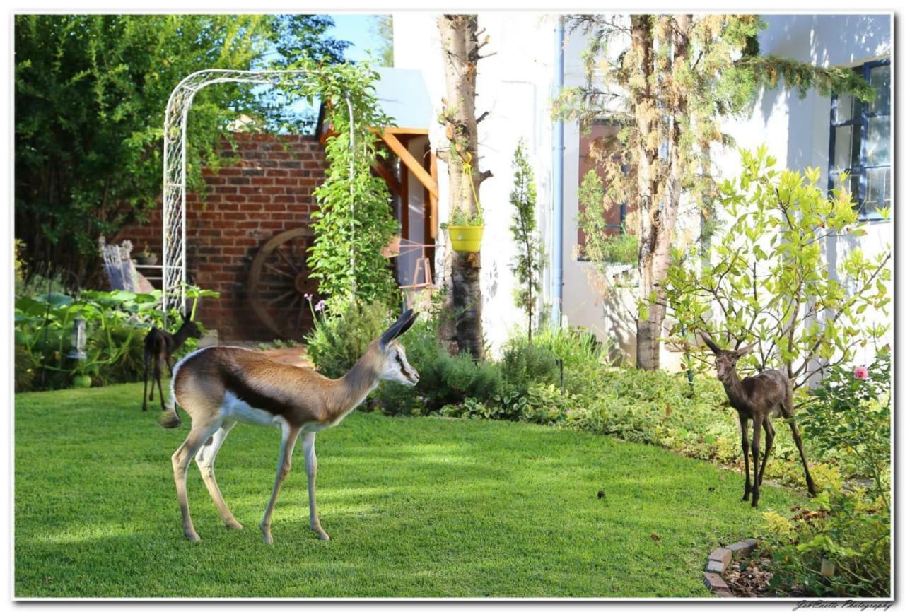Tortelduif Cottage Offthegrid Middelburg  エクステリア 写真