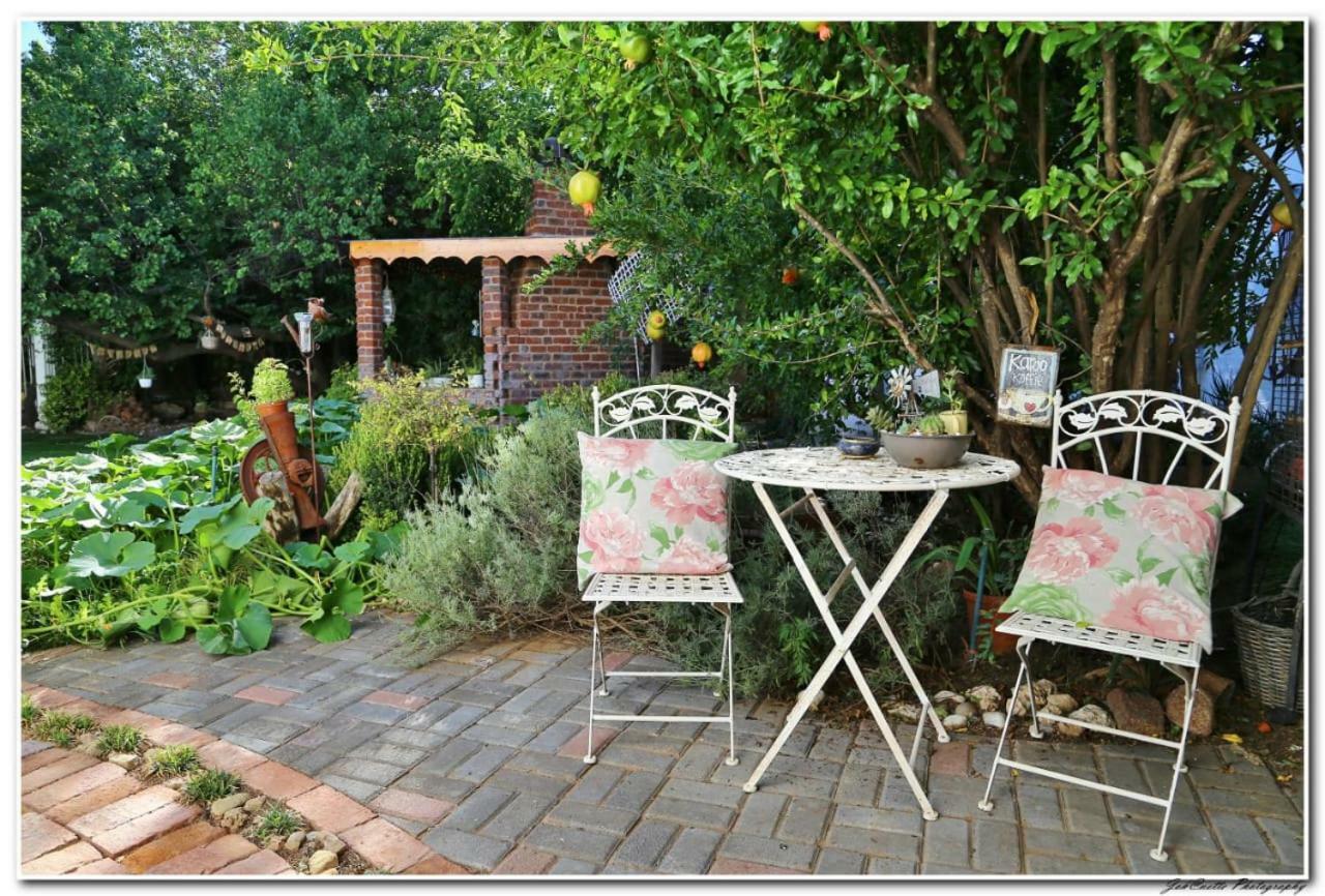 Tortelduif Cottage Offthegrid Middelburg  エクステリア 写真
