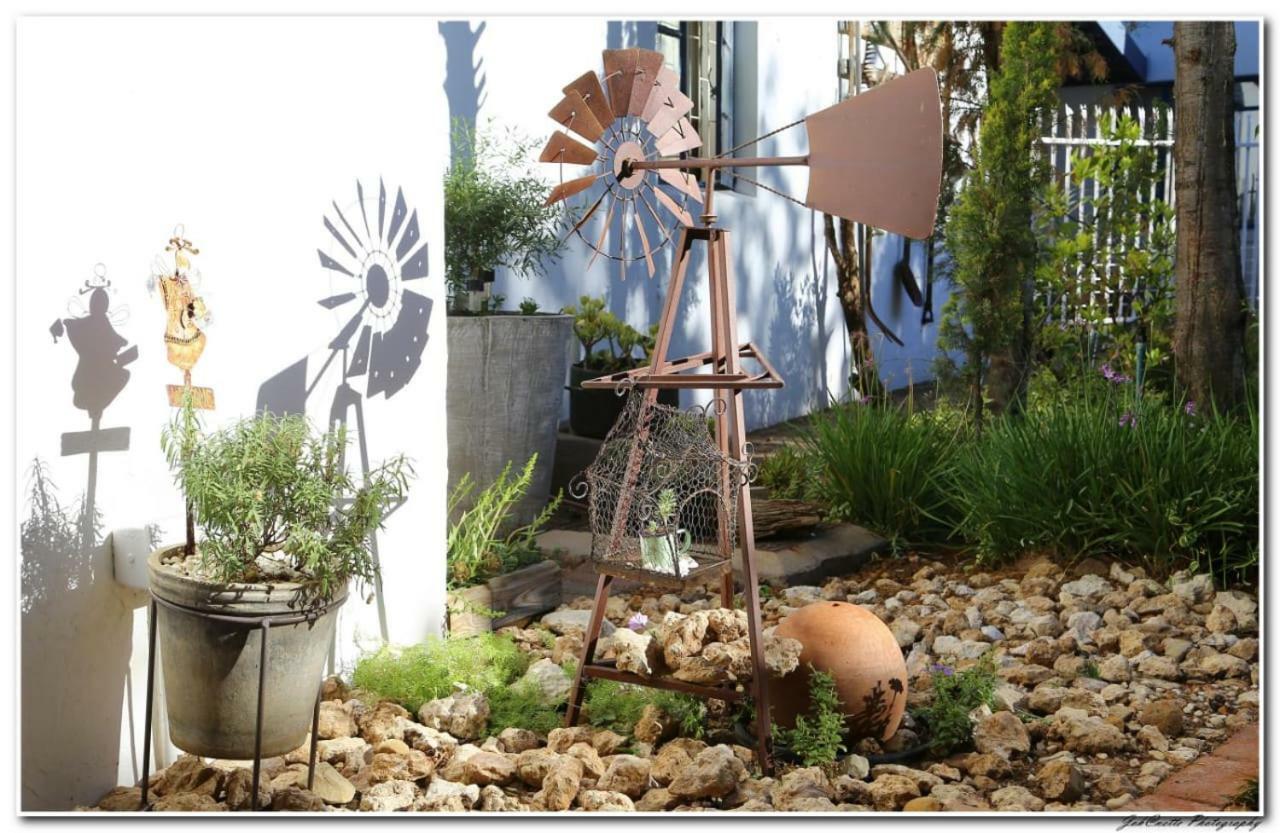 Tortelduif Cottage Offthegrid Middelburg  エクステリア 写真