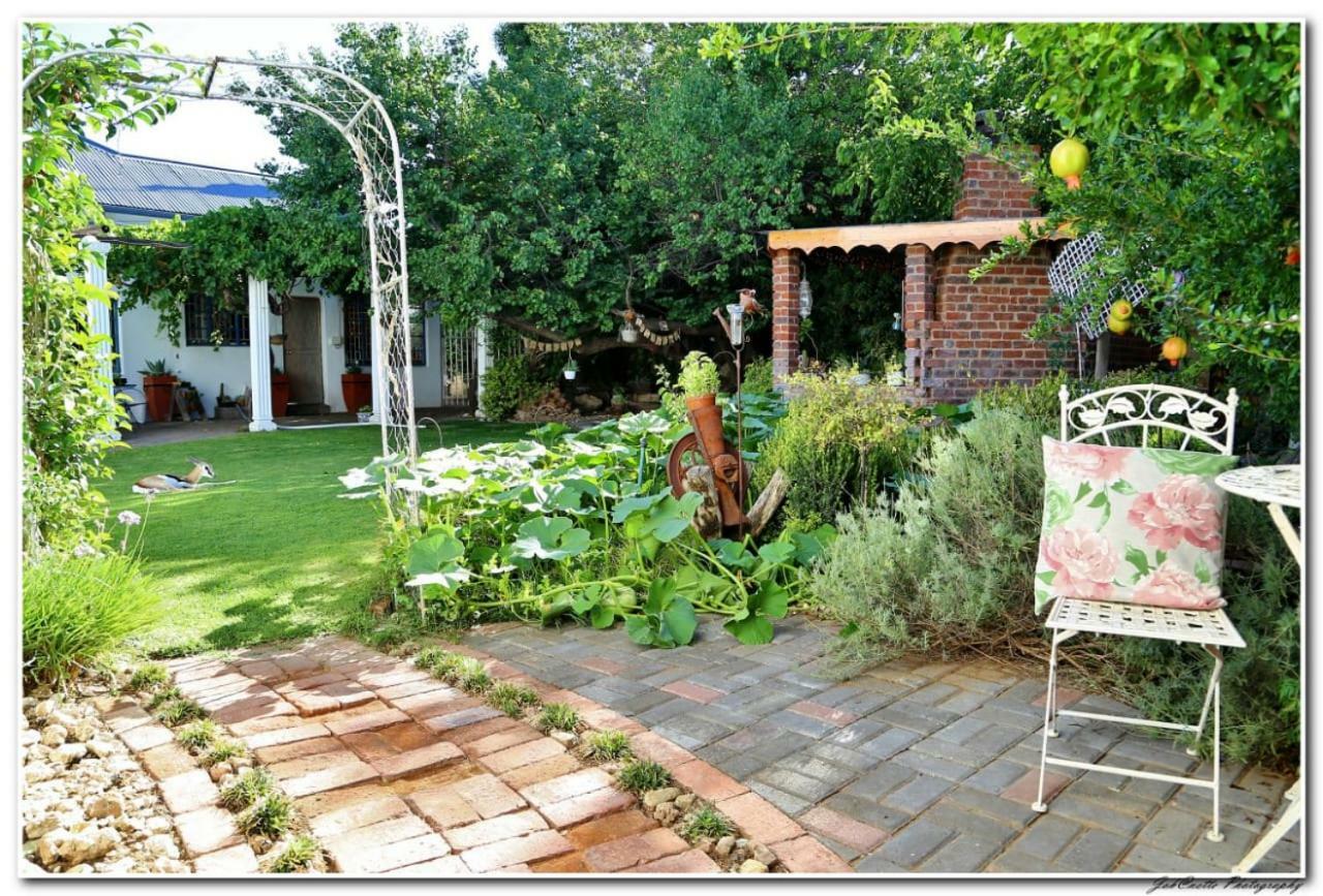 Tortelduif Cottage Offthegrid Middelburg  エクステリア 写真
