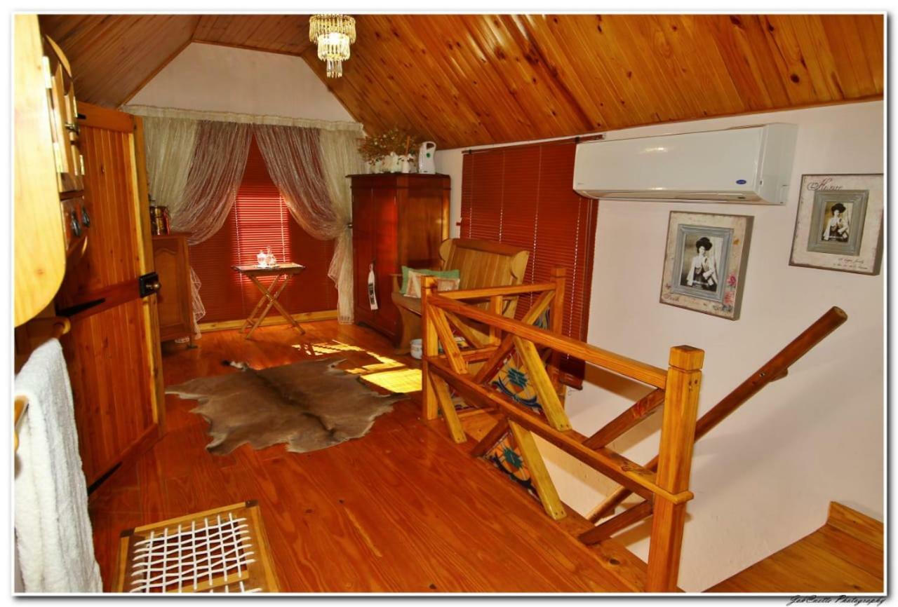 Tortelduif Cottage Offthegrid Middelburg  エクステリア 写真