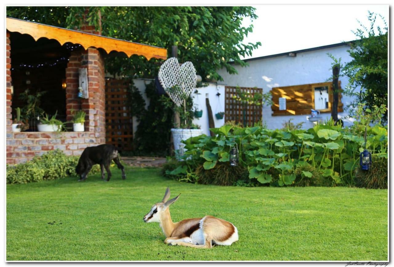 Tortelduif Cottage Offthegrid Middelburg  エクステリア 写真
