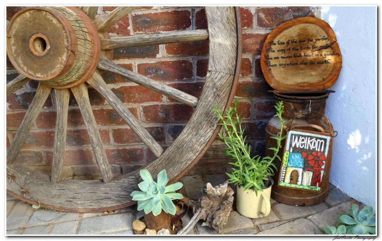 Tortelduif Cottage Offthegrid Middelburg  エクステリア 写真