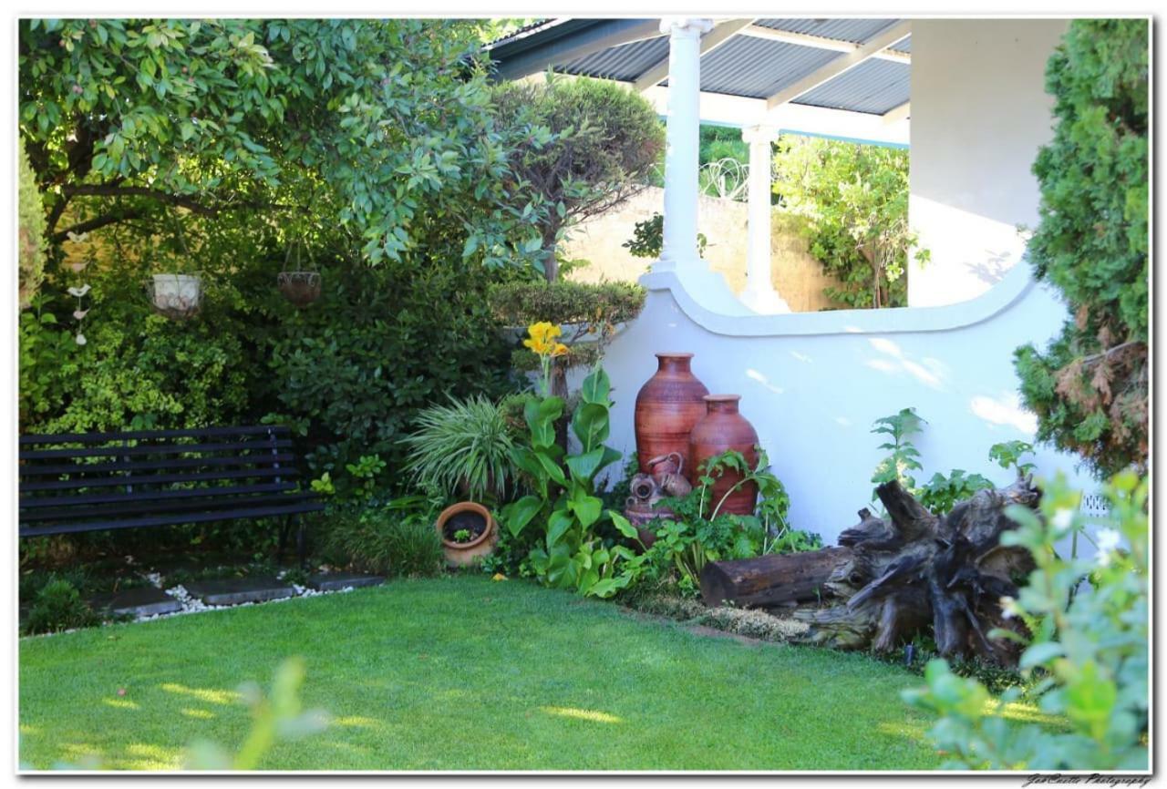 Tortelduif Cottage Offthegrid Middelburg  エクステリア 写真